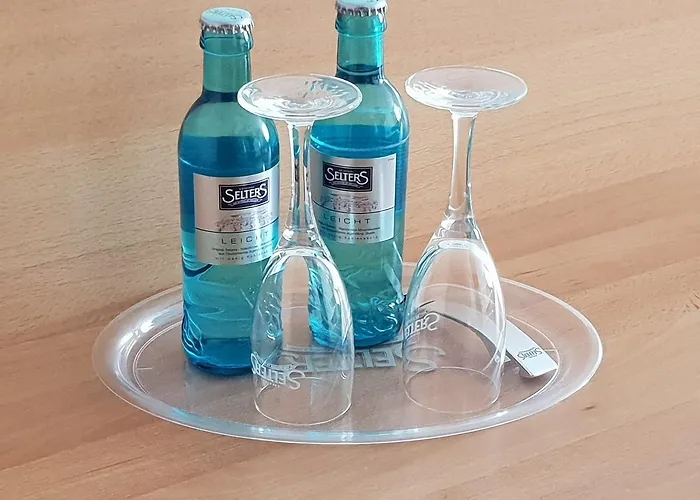 Hof Muensterland 호텔 알렌