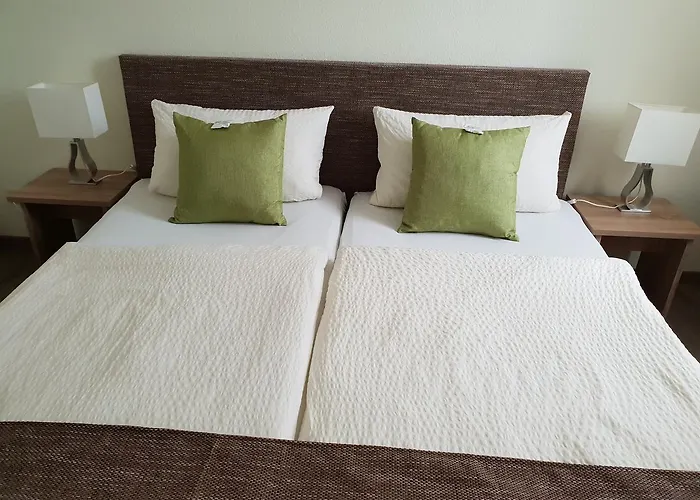 Hof Muensterland 酒店 阿伦